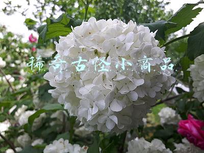 稀奇古怪小商品