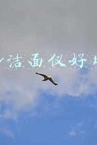 olay洁面仪好用吗