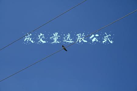 成交量选股公式 成交量选股公式