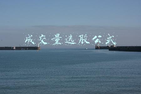 成交量选股公式 成交量选股公式
