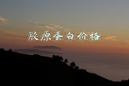 胶原蛋白价格
