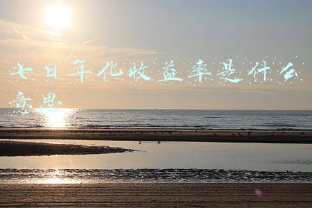 七日年化收益率是什么意思