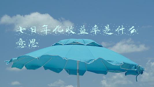 七日年化收益率是什么意思怎么计算收益(一文了解七日年化率)