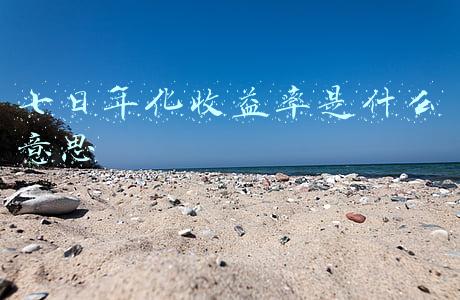 七日年化收益率是什么意思