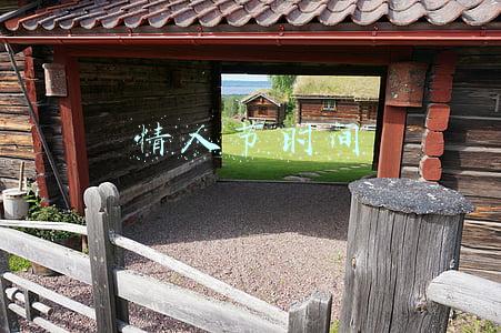 情人节时间