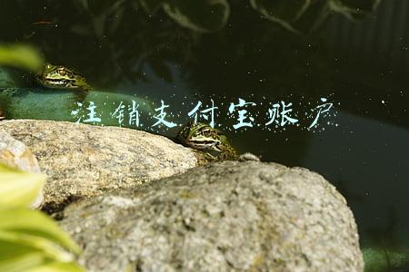注销支付宝账户