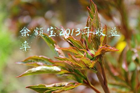 余额宝2013年收益率
