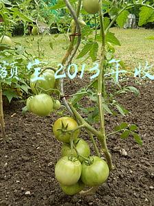 余额宝2013年收益率
