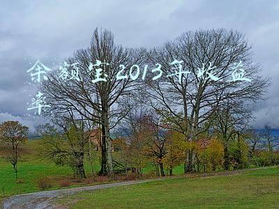 余额宝2013年收益率