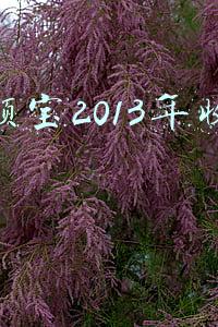 余额宝2013年收益率