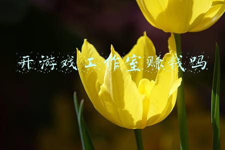 开游戏工作室赚钱吗