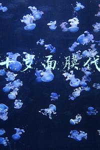 俏十岁面膜代理