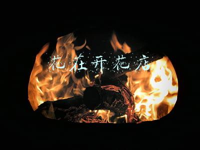 花在开花店