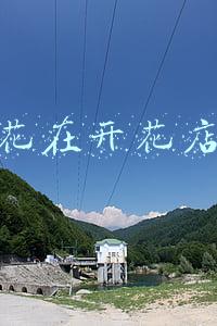 花在开花店