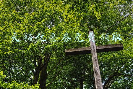 天猫优惠券免费领取