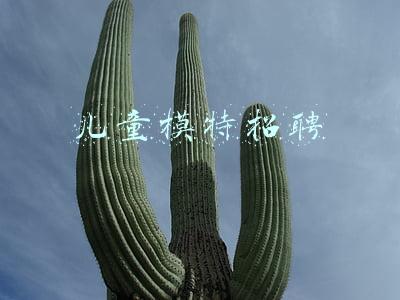 儿童模特招聘