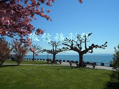 微信福利群