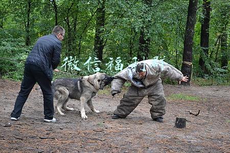 微信福利群