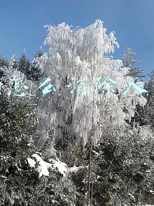 au怎么消除人声