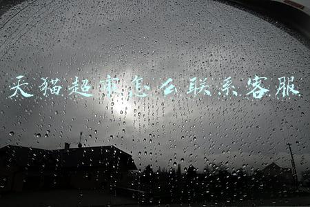 天猫超市怎么联系客服