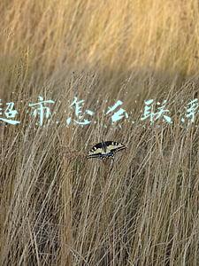 天猫超市怎么联系客服咨询商品(消费者购买桶装水天猫超市迟迟不发货，咨询客服被答复：“建议选其他商家”)