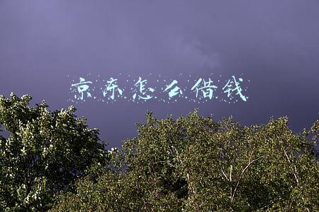 京东怎么借钱提现金(京东金融金条借款怎么开通)