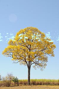 亚马逊海外购是正品吗 保税仓(“黑五”海淘别信专柜验货)