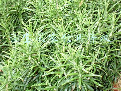 淘宝买家信用等级