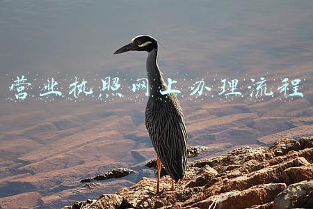 营业执照网上办理流程