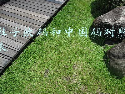鞋子欧码和中国码对照表