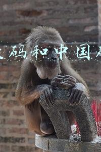 鞋子欧码和中国码对照表