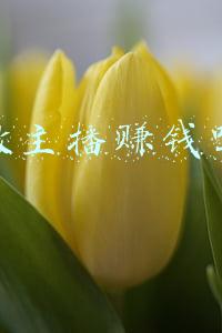 做主播赚钱吗