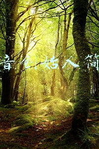 抖音创始人简介