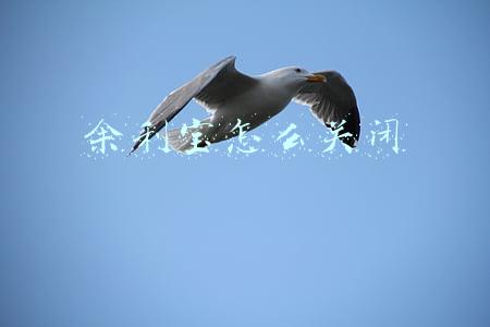 余利宝怎么关闭