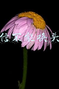 微信不能换头像