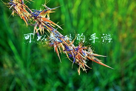 可以搬砖的手游