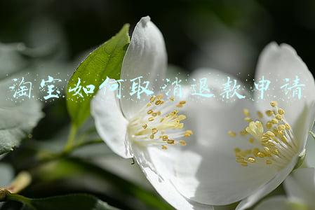 淘宝如何取消退款申请,让卖家发货(淘宝退款规则有大招了，未发货的商品可以“秒退”)