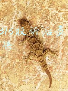 12315投诉受理后多久处理(市场监管总局：消费者拨打12315投诉后将可查询办理进度)