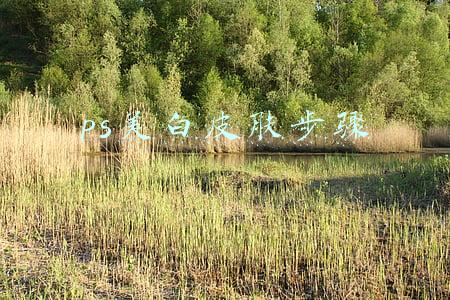 ps美白皮肤步骤