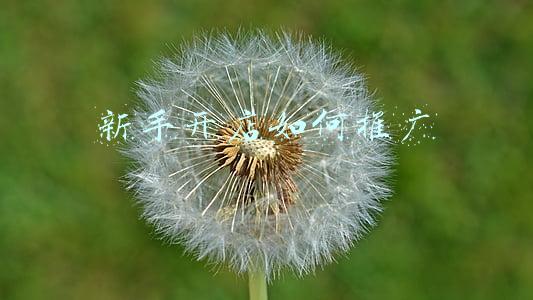 新手开店如何推广