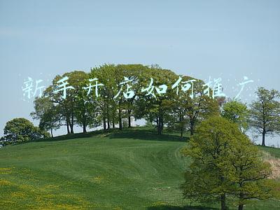 新手开店如何推广