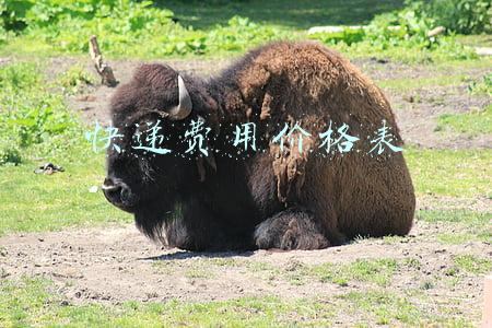 快递费用价格表