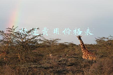 快递费用价格表