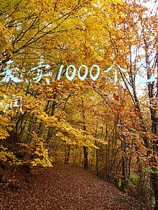 一天卖1000个包子利润