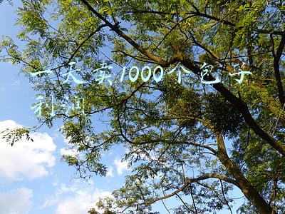 一天卖1000个包子利润