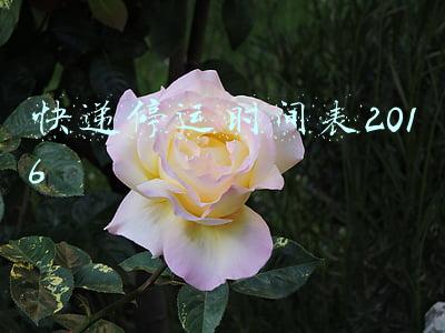 2021年快递停运时间表(2021年春节快递提前停运？多家快递回应：过年不打烊)