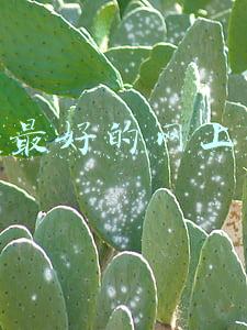 全国最好的网上书店