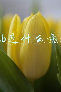 b2b是什么意思