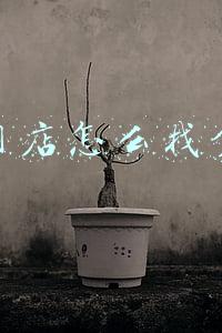 开网店怎么找货源 开网店怎么找货源