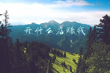 开什么店赚钱